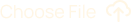 Choose File